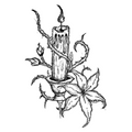 008 Candle Lily