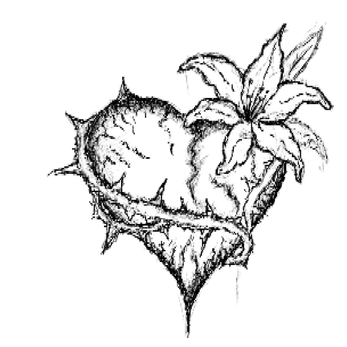 011 Heart Lily