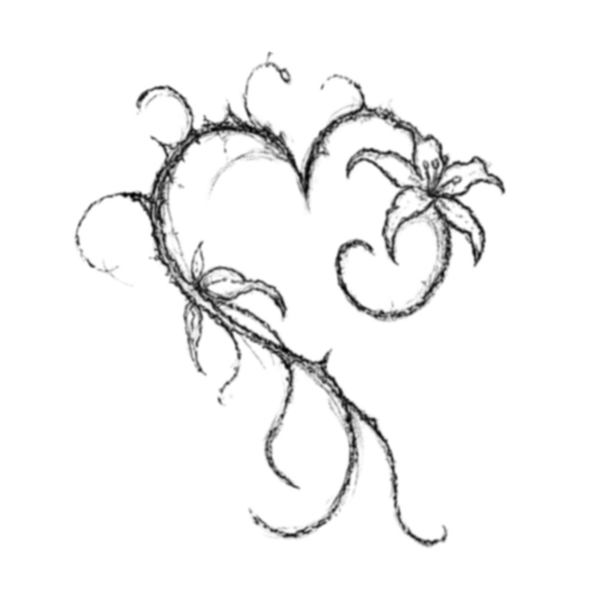 016 Heart Lily Main image