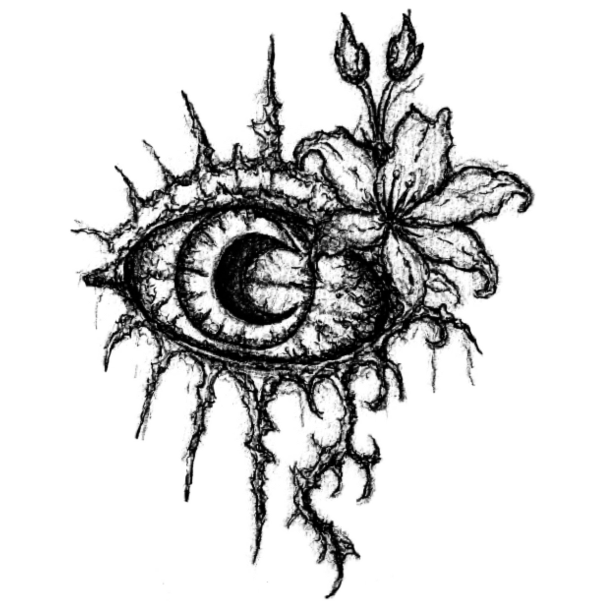 001 Eye Lily