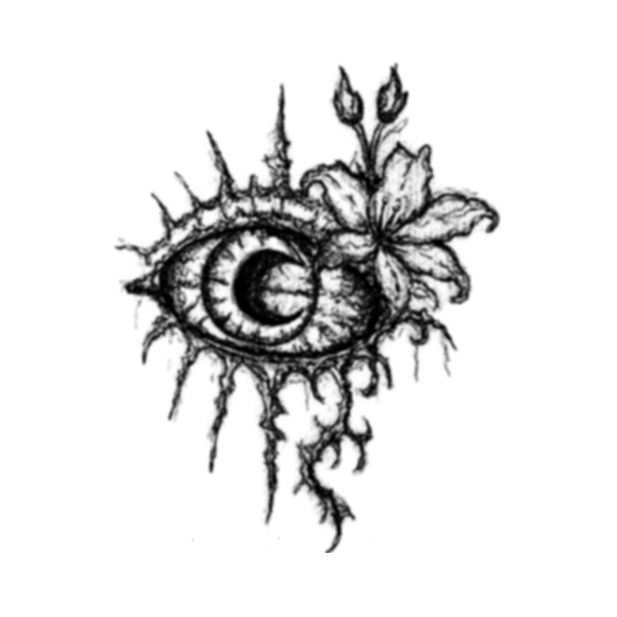001 Eye Lily Main image