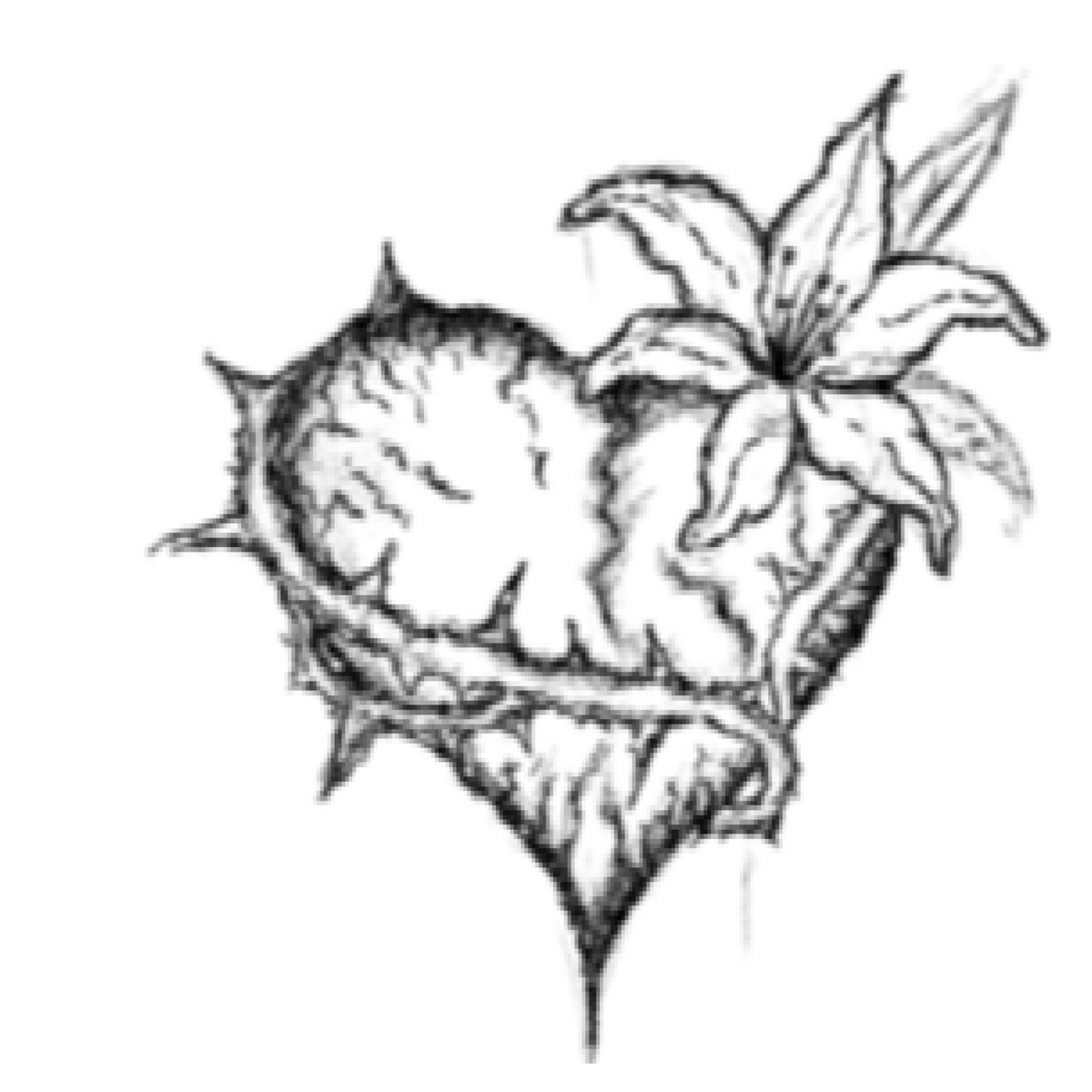 011 Heart Lily Main image